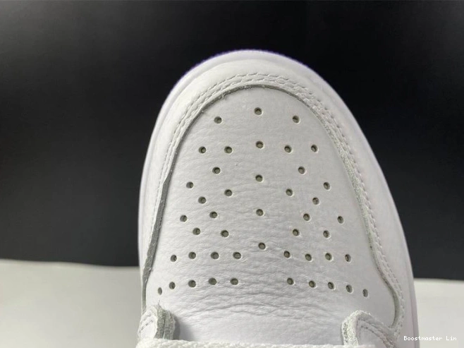 Boostmaster lin CD0461-151 1 PURPLE COURT RETRO JORDAN AIR HIGH 0820